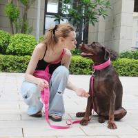 Collares personalizados mascotas Collar rosa suave perros con nombre, arnés reflectante sin tirar perros, correa, juego de - details 18