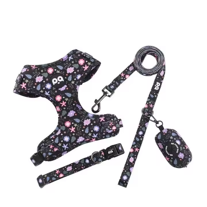 Conjunto arnés perro, chaleco malla ustable cachorro, Collar correa de plomo para caminar, perros pequeños, gatos y gatitos - 1