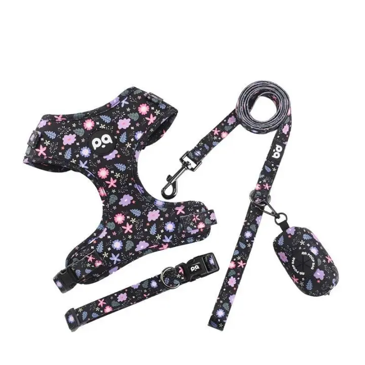 Conjunto arnés perro, chaleco malla ustable cachorro, Collar correa de plomo para caminar, perros pequeños, gatos y gatitos - 1