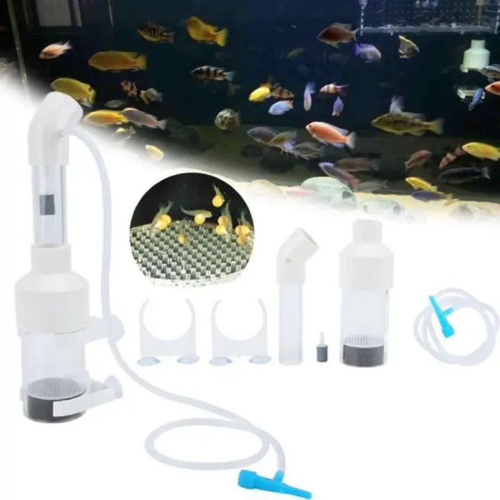 1 Uds. Durable acuario peces suministros para tanque de peces cíclidos huevo vaso incubadora incubadora de peces incubadora - 1