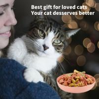 Bolsas de Comida para Gatos Paquete de 4, 13.97cm, Platos de Alimentación y Agua de Plástico PP Antideslizantes Ideal para Gatos, Callitos, y Gatos de Patas Cortas - details 11