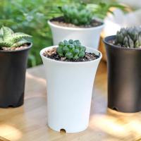 Lavabo de pelo antiguo para plantas suculentas, lavabo Vientiane, maceta de plástico redonda gruesa mate de cintura alta, jardinería en blanco y negro - details 3