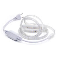 Tira de luces LED de 220V, cinta de lámpara Flexible de alto brillo, resistente al agua, con interruptor, para decoración de cocina, jardín y habitación al aire libre, 2835 - details 3