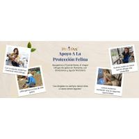 Árbol compacto y estable para gatos grandes, 4 niveles para escalar, rascar, descansar, hojas seguras, fácil montaje, duradero y apto para mascotas - details 8