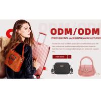 Mochilas De Viaje De Gran Capacidad, Bolsa De Día De Negocios De Trabajo, Bolsas De Intercapa Para Portátil - details 0