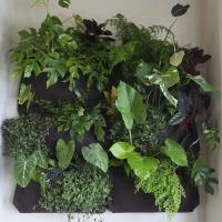 7 bolsas verticales, colgante de pared de tela de fieltro, ETA de jardín al aire libre, contenedor para plantar flores y verduras - details 10