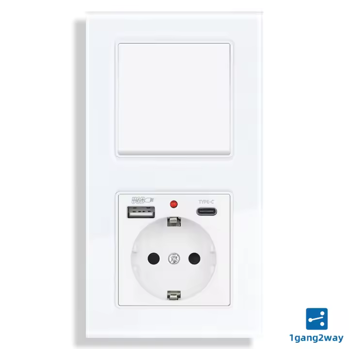 Enchufe de Pared USB Tipo-c SRAN con Panela de Vidrio Templado Interruptor de Luz de 1 Grupo 2 Vías con Puertos USB 5V 2.1A Mejoras del Hogar Herramientas - 1