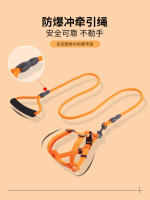 Correa para caminar para perros grandes, medianos y pequeños, correas para el pecho, collares, suministros para mascotas de piel dorada de peluche - details 1