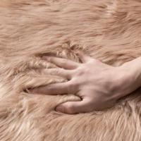 Alfombra de Lana Suave para Dormitorio Sala de Estar Alfombra para Coche Sofá Silla Cojín Lavable Alfombra de Piso para Dormitorio - details 18