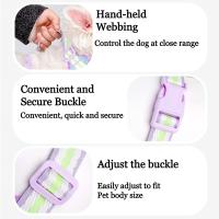 Conjunto de arnés y correa ajustable para perro, chaqueta de malla suave acolchada para gato, arnés transpirable con cuerda de tracción, juego de correa y collares para perro - details 8