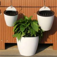 Planta de plástico, absorción de agua automática creativa montada, flores para el hogar, ETA para decoración de paredes - details 0
