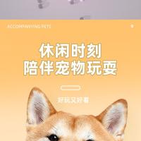 Juguetes para mascotas nuevos dientes roedores TPR productos para perros juguetes nuevo anillo doble auto-hola juego de juguetes para perros - details 17