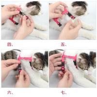Set de Correa Ajustable de Nylon para Mascotas al Aire Libre Correa de Montura para Conejo Gato - details 6