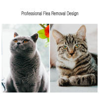 Peine de pulgas para mascotas, cepillo de aseo de acero inoxidable para proteger a los gatos de los piojos, peines de cuidado de mascotas, suministros cómodos de protección para el pelo de perros - details 0