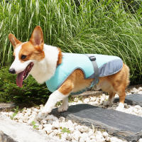 Chaleco refrescante para perro, Chaqueta ligera con protección UV, transpirable, para caminar, entrenar y acampar, ropa fresca para mascotas - details 4