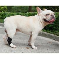 Protector de artritis para perros, soporte para piernas, soporte para articulaciones, rodilleras, recuperación de lesiones, actualizado - details 16