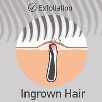 Dylonic Ingrown Hair Brush Treatment Exfoliating brush