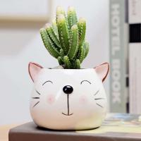 1 oso de dibujos animados en forma de animal de cerámica de estilo nórdico, gato, cabeza de vaca, mini planta jugosa, bonsái ETA, decoración del hogar - details 2