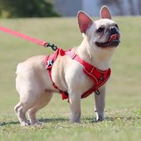 Arnés de tracción con rayas reflectantes para mascotas, antitirones conjunto de cuerda, Collar de perro, correa de pecho - details 9