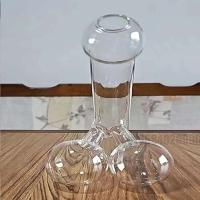 Botella de whisky pene, interesante recipiente de vidrio para esencia de pollo, fiesta nocturna, tequila escocés, brandy, ron, bourbon - details 13