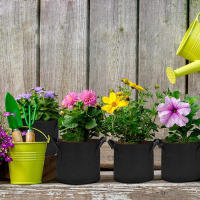 Juego de 5 bolsas para cultivo de plantas, 5 unidades - details 5