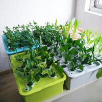Kit hidropónico para sitio de plantas, macetas de jardín, plántulas, caja de cultivo interior, Kit de cultivo, macetas de vivero de burbujas, 1 Juego, 24 agujeros - details 3