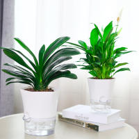 Macetas Autoregantes de Agua 3pcs Macetas de Planta Interior Almacenamiento de Agua Doble Capa - details 3