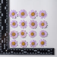 Juego de 12 Uds. De flores secas naturales de 2,5-4cm para rellenos de funda de teléfono DIY, flor de crisantemo de cristal prensado, decoraciones artísticas para uñas - details 15