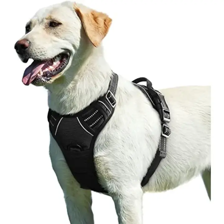 Arnes de Perro Grande Medio antiescape, Chaleco Acolchado Ajustable, Correa al Cuello y Pecho y transparente - 1