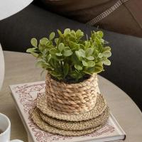 Plantas artificiales de Eulyptus, material de pila de hierba tejida de 11cm, decoración del hogar - details 23