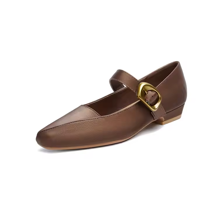 Zapatos Mary Jane vintage para mujer 2025, temperamento de alta gama para pies cansados, suelas suaves, hermosos tacones pequeños con faldas, zapatos individuales. - 1