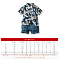 Mangas cortas de verano, camisas de flores, pantalones cortos para niños, conjunto casual de dos piezas, ropa de playa multicolor para bebés y niños - details 0