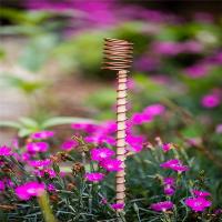 Paquete de 6 antenas de bobina de cobre para jardinería, electrocultivo para cultivo de plantas de jardín, verduras con bobinas de Electro cultivo - details 6