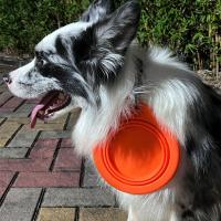 Cuenco portátil de silicona duradero para perros, dispensador de agua redondo plegable para perros, taza de alimentación para mascotas expandible para caminar y viajar - details 3