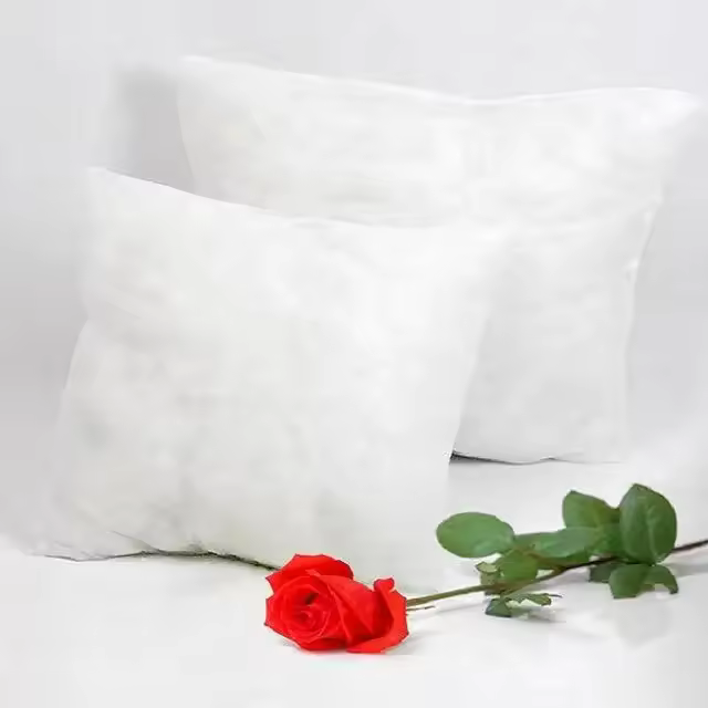 Cojín de Núcleo Sólido de Almohada de Cintura Relleno de Algodón PP Tamaño 30*30/35*55/30*50/60*60 /40*40/45*45/40*60/65*65cm Iluminación y Decoración - 1