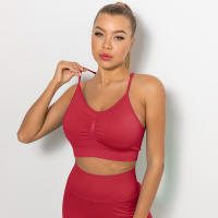Hamidou-sujetadores deportivos para mujer, ropa interior para gimnasio, correr, a prueba de golpes, transpirable, sin mangas, para Yoga - details 9