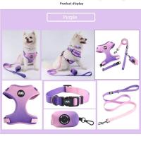 Conjunto arnés perro, chaleco malla ustable cachorro, Collar correa de plomo para caminar, perros pequeños, gatos y gatitos - details 1