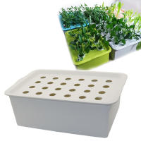 Kit hidropónico para sitio de plantas, macetas de jardín, plántulas, caja de cultivo interior, Kit de cultivo, macetas de vivero de burbujas, 1 Juego, 24 agujeros - details 0
