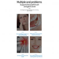 Nuevo uso doméstico para adultos de seis engranajesTPCCepillo de dientes recargable cepillo de dientes eléctrico de limpieza de - details 5