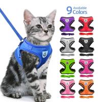 Correa de arnés ajustable de malla de poliéster para perros y gatos Ideal para paseos - details 1