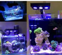 Luz de acuario Spectra Nano M029, iluminación de agua salada de 30W/40W con Control táctil para pecera de arrecife de Coral - details 10