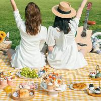 Manta de picnic impermeable, esterilla de playa a prueba de arena, manta de camping portátil para uso en interiores y exteriores - details 1