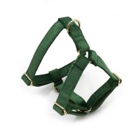 terciopelo verde pavo real grabado, conjunto correa de arnés perros personalizado, Collar ustable sin escape para mascotas con - details 8