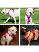 Bridle Reflectante Ajustable para Mascotas Chaleco Transpirable Correa de Pecho para Perros Pequeños, Medianos, Grandes Collar para Cachorros Accesorios para Perros - details 3