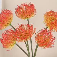 Flor de Leucospermum Artificial de tacto Real, elegante, hecha a mano, garra de cangrejo, crisantemos, alfiletero de plástico, rama de flor - details 11