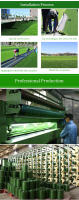 Césped Artificial de 200cm, Alfombra de césped falso de 4 colores para exteriores, tapete de plantas de alta calidad para decoración de jardín de campo de fútbol - details 2