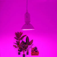 Luz LED colgante de espectro completo para cultivo de plantas de interior, lámpara colgante ajustable E27, color blanco y negro, 6W, 15W, 20W, 26W - details 7