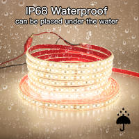 Tira de luces LED de alta seguridad, cinta impermeable IP68 de 2835 Leds/M, 24V, 120 luces, para exteriores, jardín, 20 m/rollo - details 2