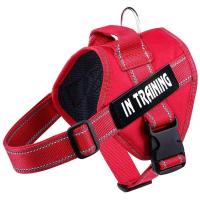 Arnés de control Chaleco de alto servicio, collar acolchado con parches extraíbles, terapia emocional EA para perros, NO PET XXL XL L M - details 13
