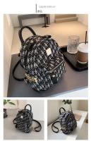 Mochila de viaje para mujer 2025, nueva mochila versátil de moda de alta capacidad, bolso pequeño y elegante a la moda - details 23